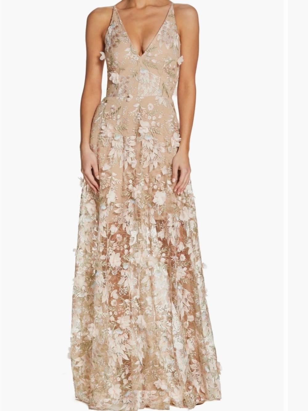 Dress the Population Nude Pink Floral Appliqué Maxi Dress